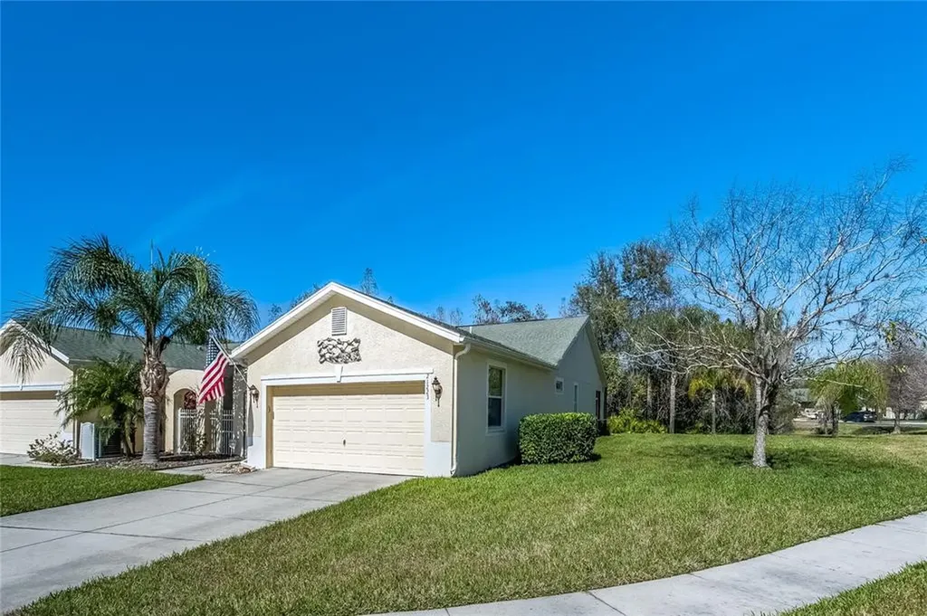 21223 Diamonte Drive Land O Lakes FL 34637