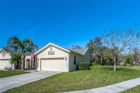 21223 Diamonte Drive Land O Lakes FL 34637