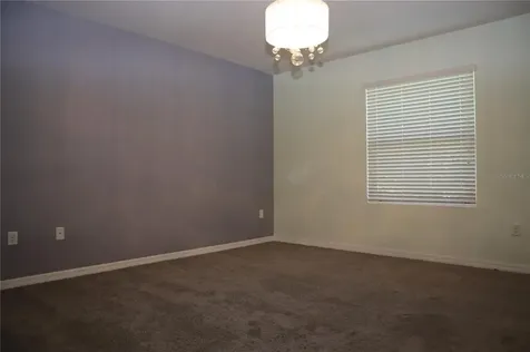 3953 Claybrook Drive Wesley Chapel FL 33544