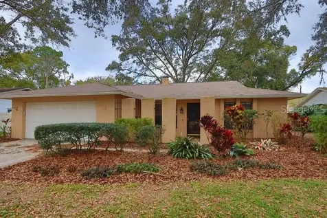 17624 Meadowbridge Drive Lutz FL 33549