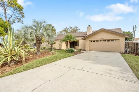 3105 Reseda Court Tampa FL 33618