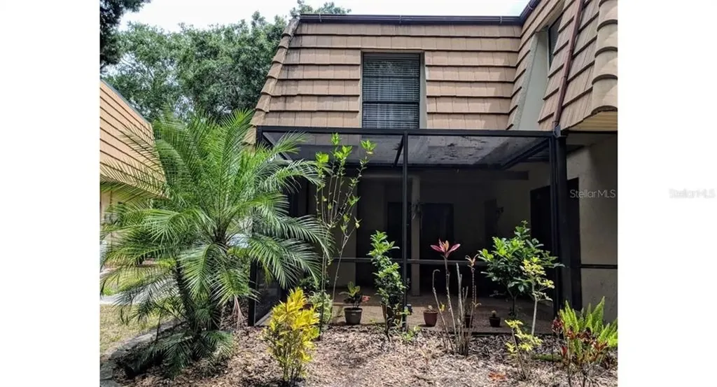 12703 Tall Pine Drive Tampa FL 33625