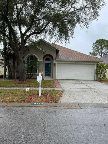10270 Oasis Palm Drive Tampa FL 33615