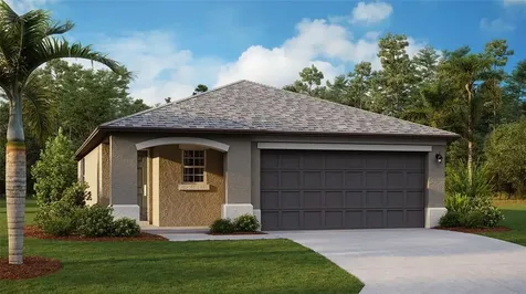 17941 Cloudless Bliss Drive Lutz FL 33558