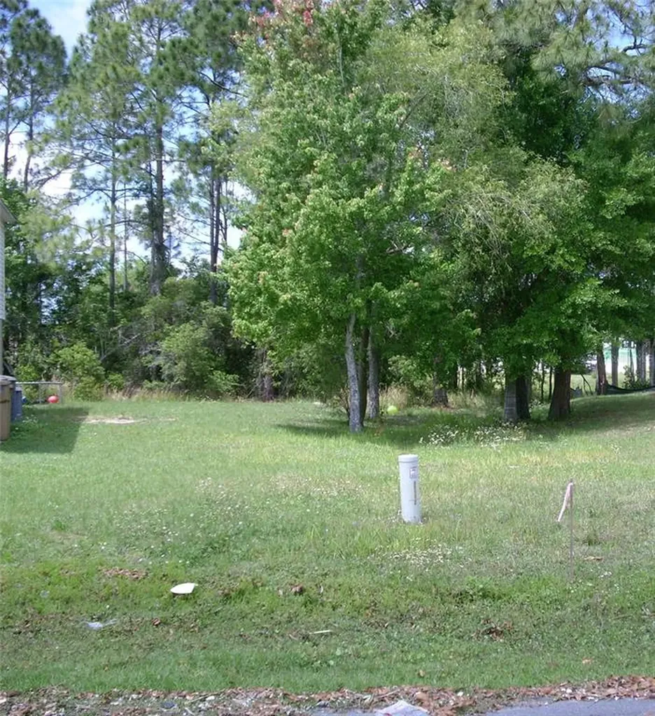 919 Van Loon Court Kissimmee FL 34758