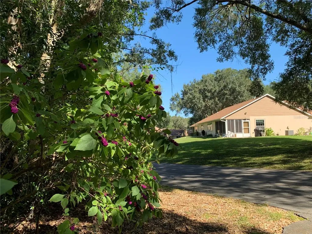 3550 N Lakeside Village Drive Beverly Hills FL 34465