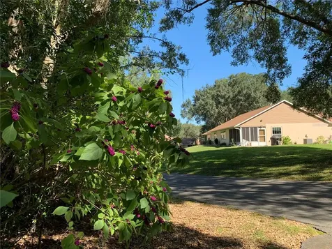 3550 N Lakeside Village Drive Beverly Hills FL 34465