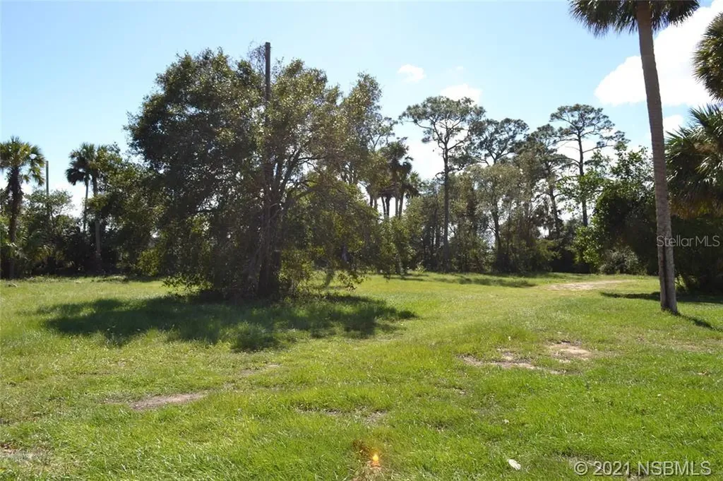 206 S Ridgewood Avenue Edgewater FL 32132