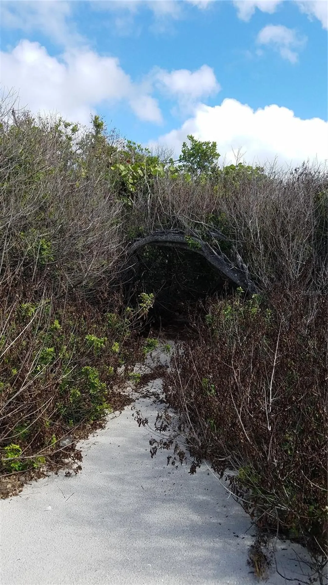 Access Undetermined Bokeelia FL 33922