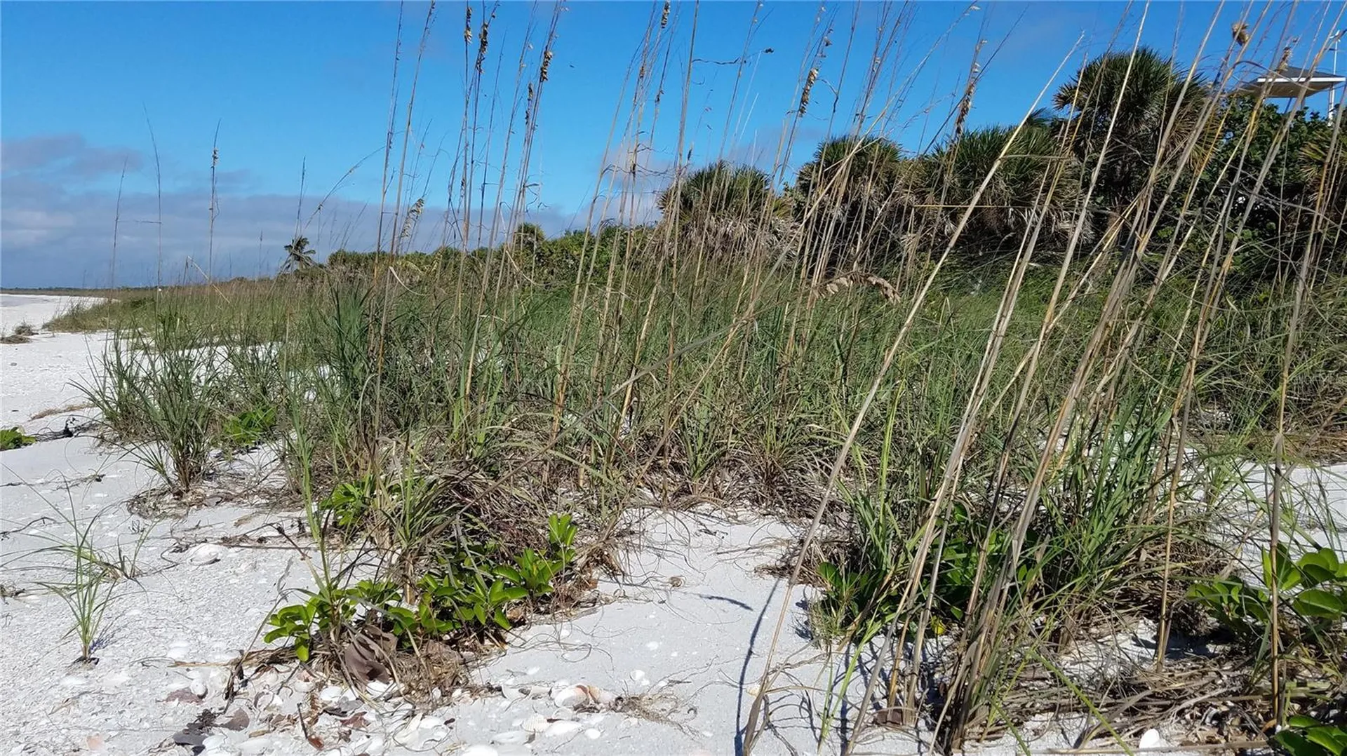 Access Undetermined Bokeelia FL 33922