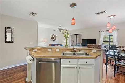 2418 Edgewater Falls Drive Brandon FL 33511