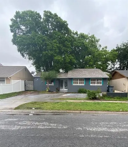 3221 Sandspur Drive Tampa FL 33618