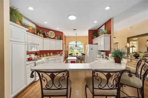 768 Astor Way The Villages FL 32162
