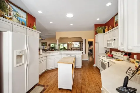 768 Astor Way The Villages FL 32162