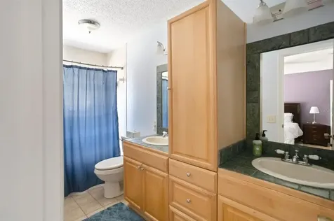 15011 Redcliff Drive Tampa FL 33625
