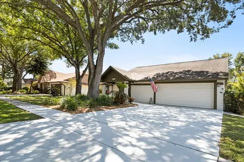15011 Redcliff Drive Tampa FL 33625