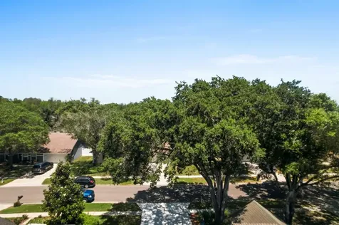 15011 Redcliff Drive Tampa FL 33625