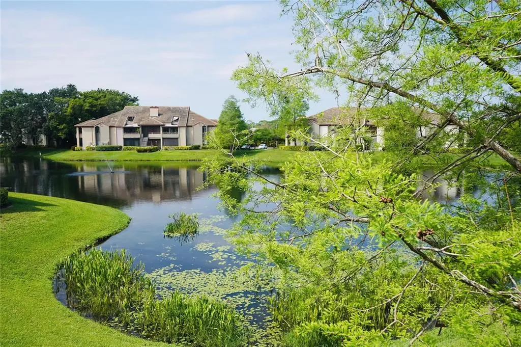 10265 Gandy Boulevard St Petersburg FL 33702