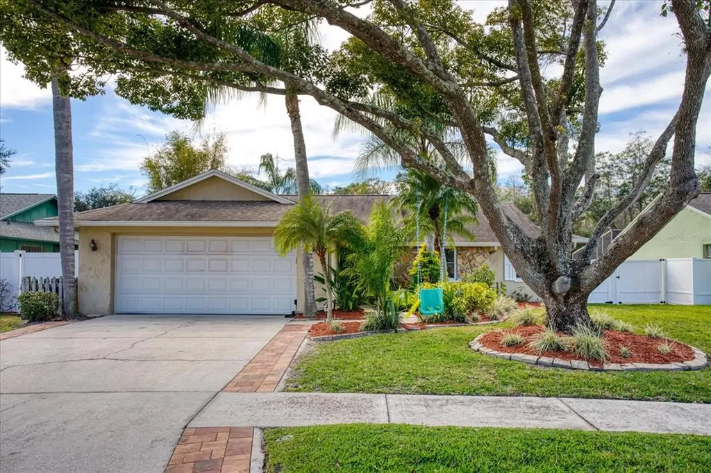 5364 Black Pine Drive Tampa FL 33624