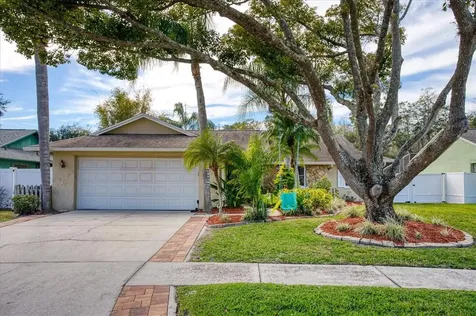 5364 Black Pine Drive Tampa FL 33624