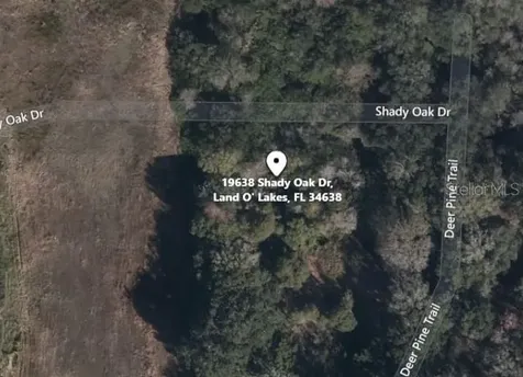 19638 Shady Oak Drive Land O Lakes FL 34638