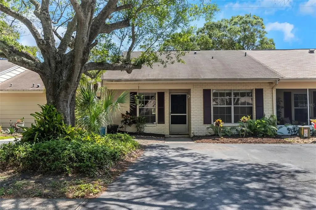 328 Salem Street Safety Harbor FL 34695