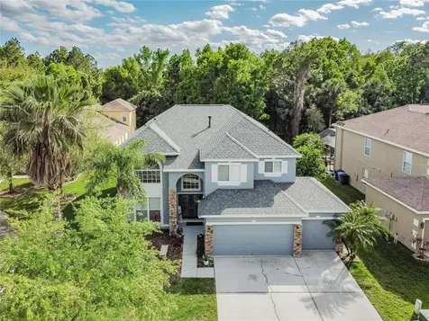 8275 Swann Hollow Drive Tampa FL 33647