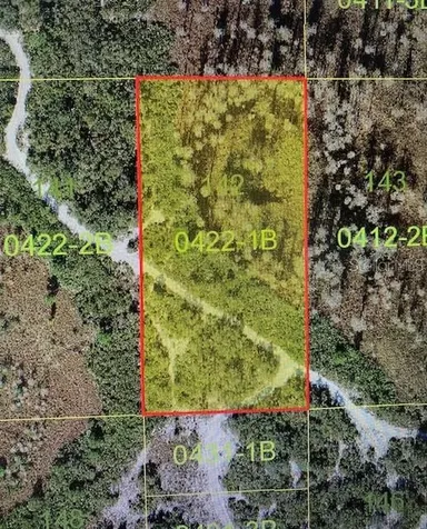 Holopaw Groves Road St Cloud FL 34771