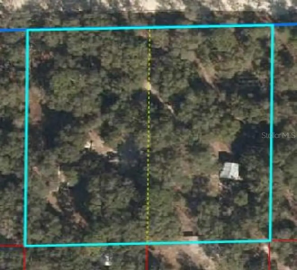 10630 NE 86th Street Bronson FL 32621