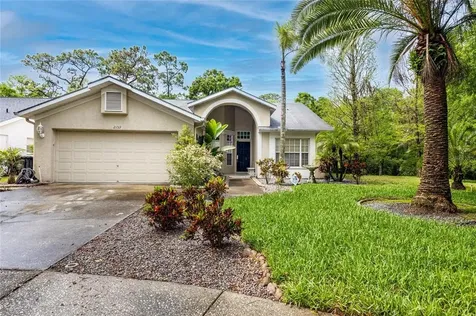 2159 Backwater Trail Palm Harbor FL 34685