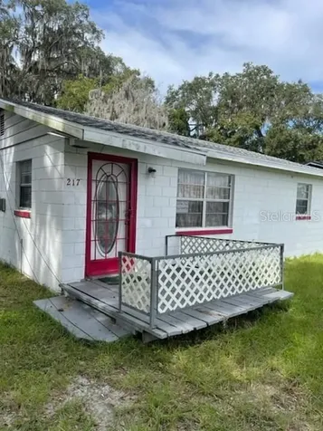 217 Mill Street Wildwood FL 34785