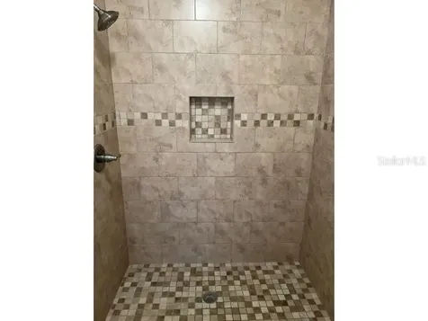 1437 Peachfield Drive Valrico FL 33596