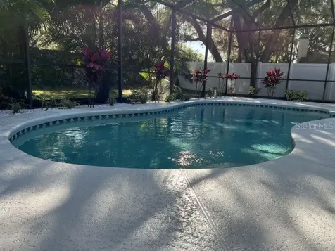 1437 Peachfield Drive Valrico FL 33596