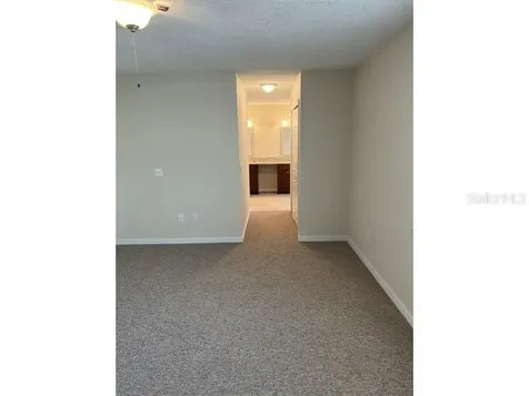 1437 Peachfield Drive Valrico FL 33596