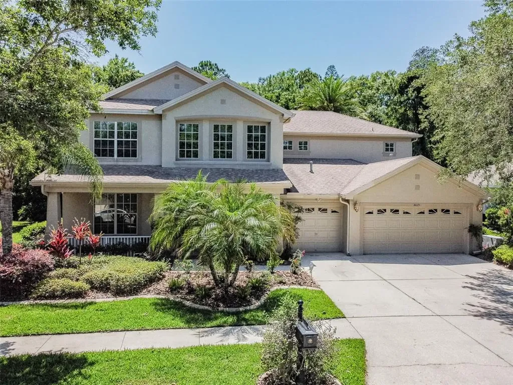 6623 Thornton Palms Drive Tampa FL 33647