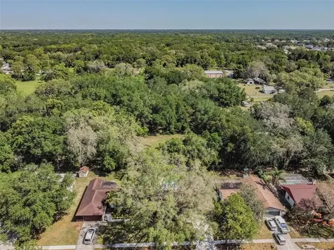 2420 Blind Pond Avenue Lutz FL 33549