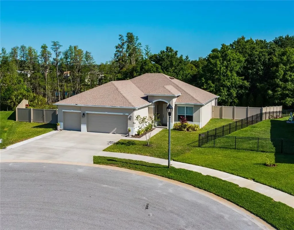 19889 Bluebird Meadow Drive Lutz FL 33558