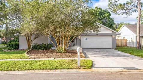 5402 Mountain Farm Court Tampa FL 33624