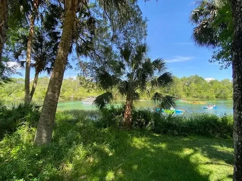 19243 SW 90th Lane Road Dunnellon FL 34432
