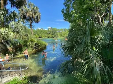 19243 SW 90th Lane Road Dunnellon FL 34432