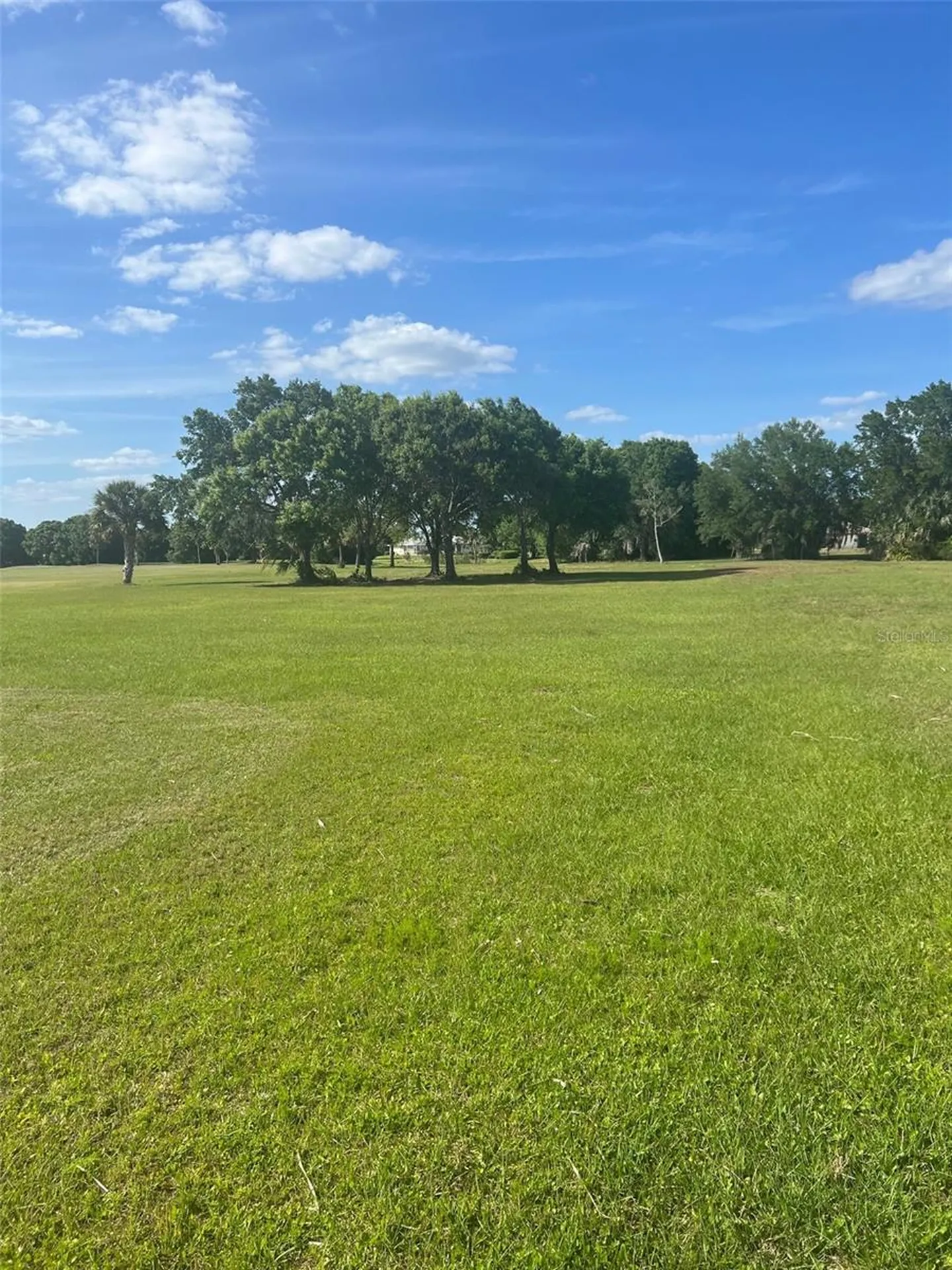 8104 SW Liverpool Road Arcadia FL 34269
