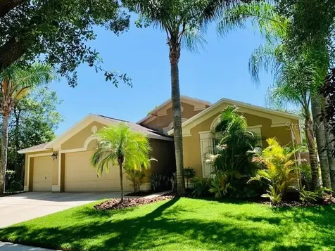 2511 Groveway Drive Valrico FL 33596