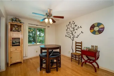 2035 Winding Oaks Drive Palm Harbor FL 34683
