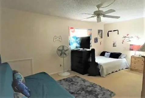 2035 Winding Oaks Drive Palm Harbor FL 34683