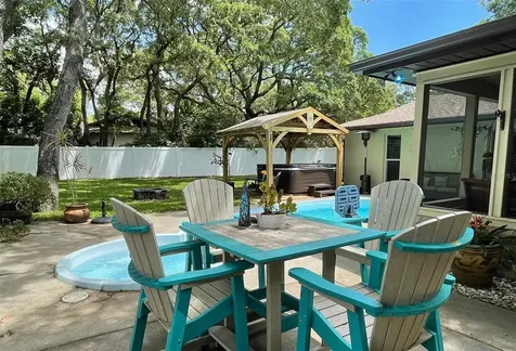 2035 Winding Oaks Drive Palm Harbor FL 34683