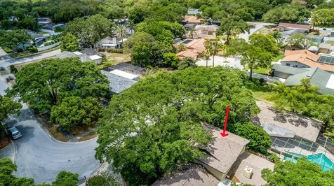 2035 Winding Oaks Drive Palm Harbor FL 34683