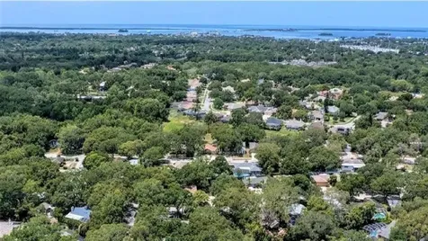 2035 Winding Oaks Drive Palm Harbor FL 34683
