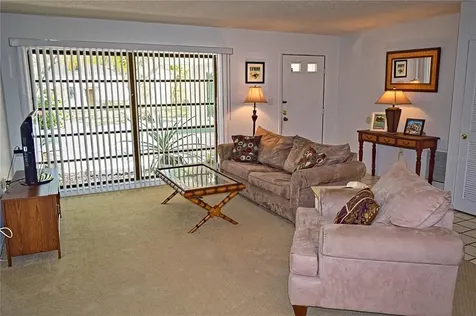 214 Nestlebranch Drive Safety Harbor FL 34695