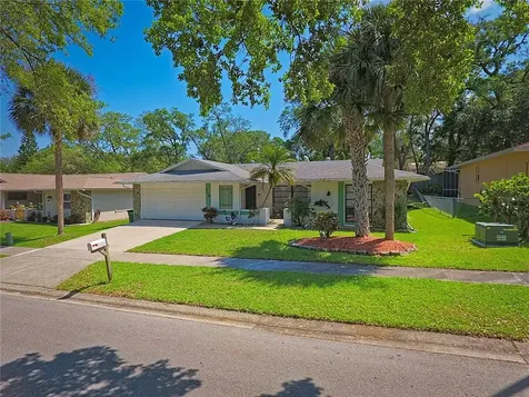 214 Nestlebranch Drive Safety Harbor FL 34695