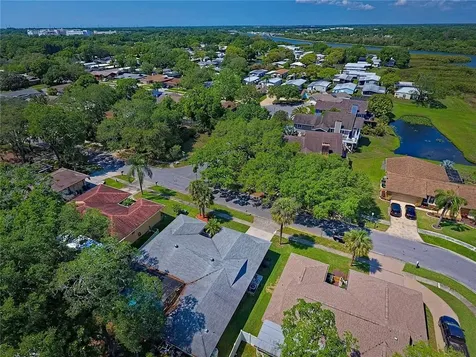 214 Nestlebranch Drive Safety Harbor FL 34695
